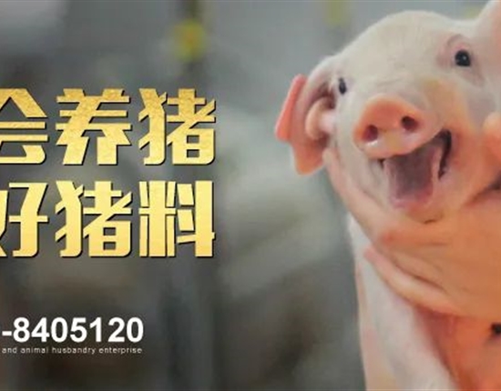 尊龙凯时集團2024年2月飼料原料運輸招標公告