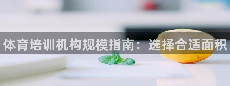 凯时kb88官方：体育培训机构规模指南：选择合适面积