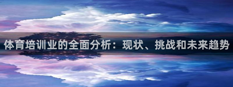 尊龙凯时app官网：体育培训业的全面分析：现状、挑战