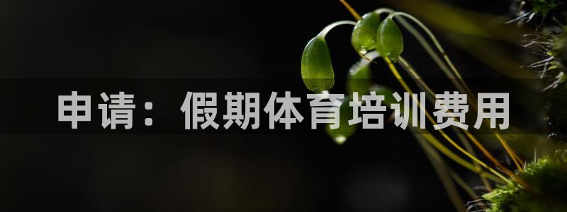 尊龙现金一下指导AG发财网：申请：假期体育培训费用